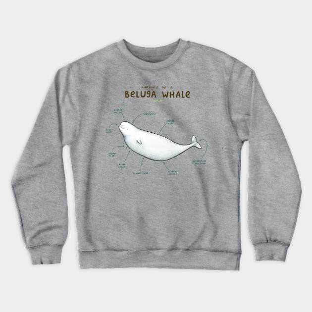 Anatomy of a Beluga Whale Crewneck Sweatshirt by Sophie Corrigan